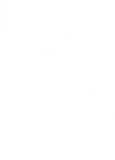 Thinker Bee — Kirala Bizden iş ortağı